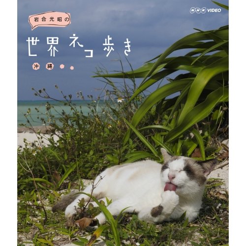 Mitsuaki Iwago's World Cat Walking Okinawa Blu-ray [NHK Square Limited Product]