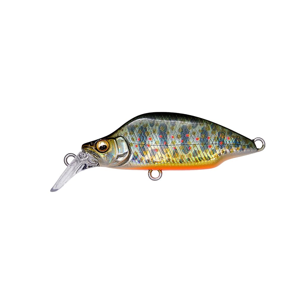 Brook Trout Lure by Megabass