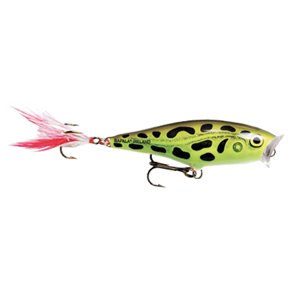 Rapala Skitter Pop 05 Fishing lure, 2-Inch, Lime Frog