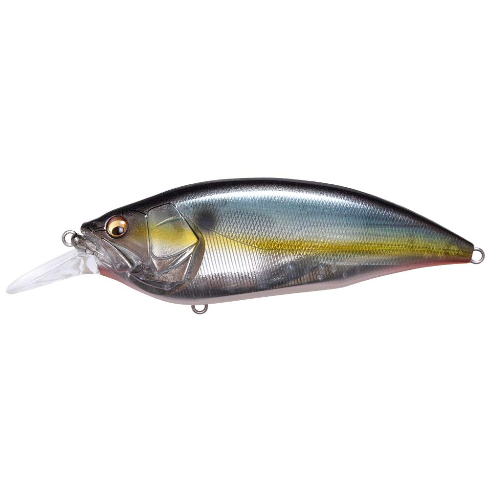 Megabass Big-M 4.0 Magnum Deep Diving Crankbait - Jukucho Shad
