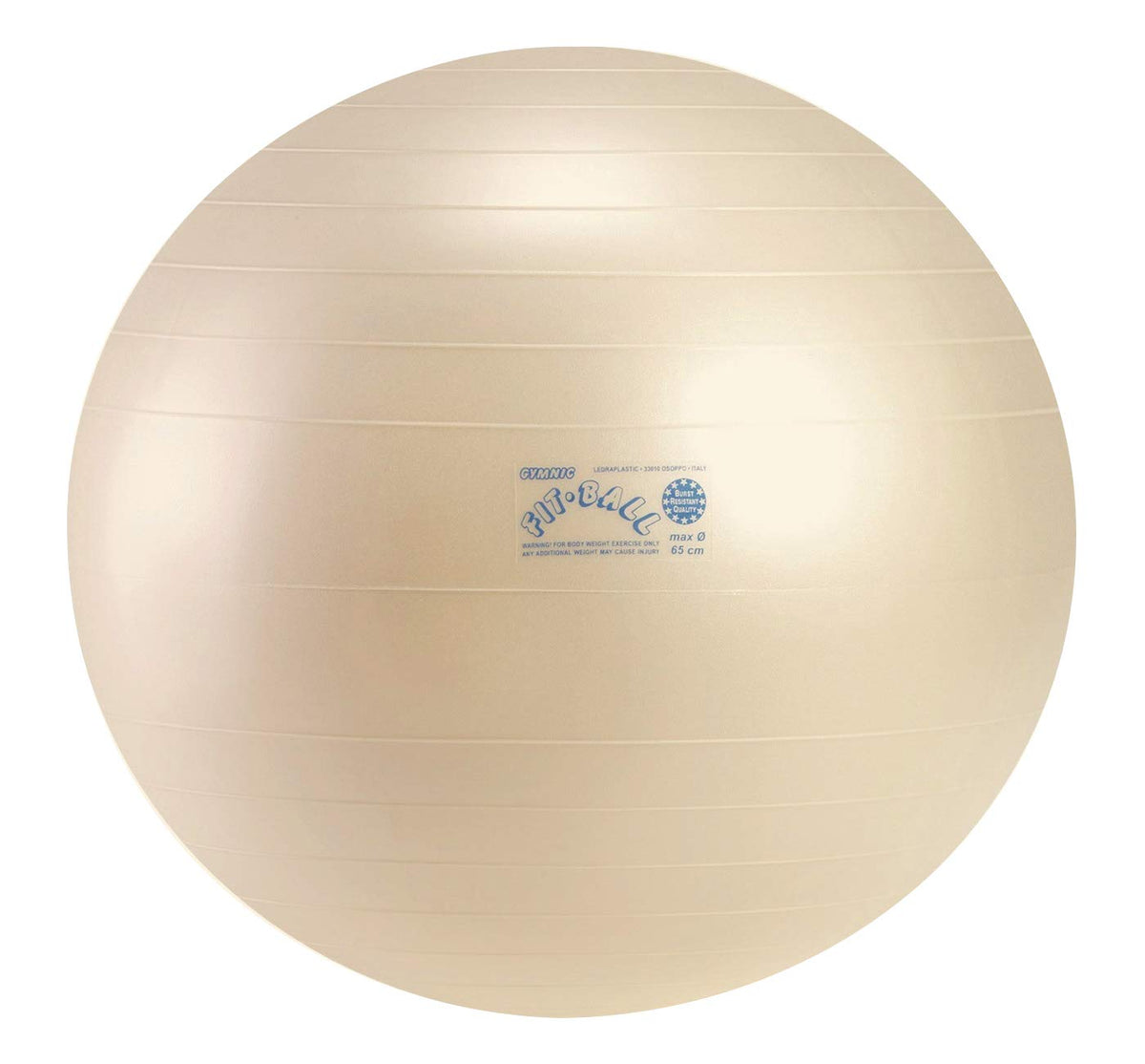 ギムニク フィットボール 65cm パールホワイト