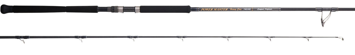 Tenryu (TENRYU) Power Master Heavy Core PMH96H 9'6"