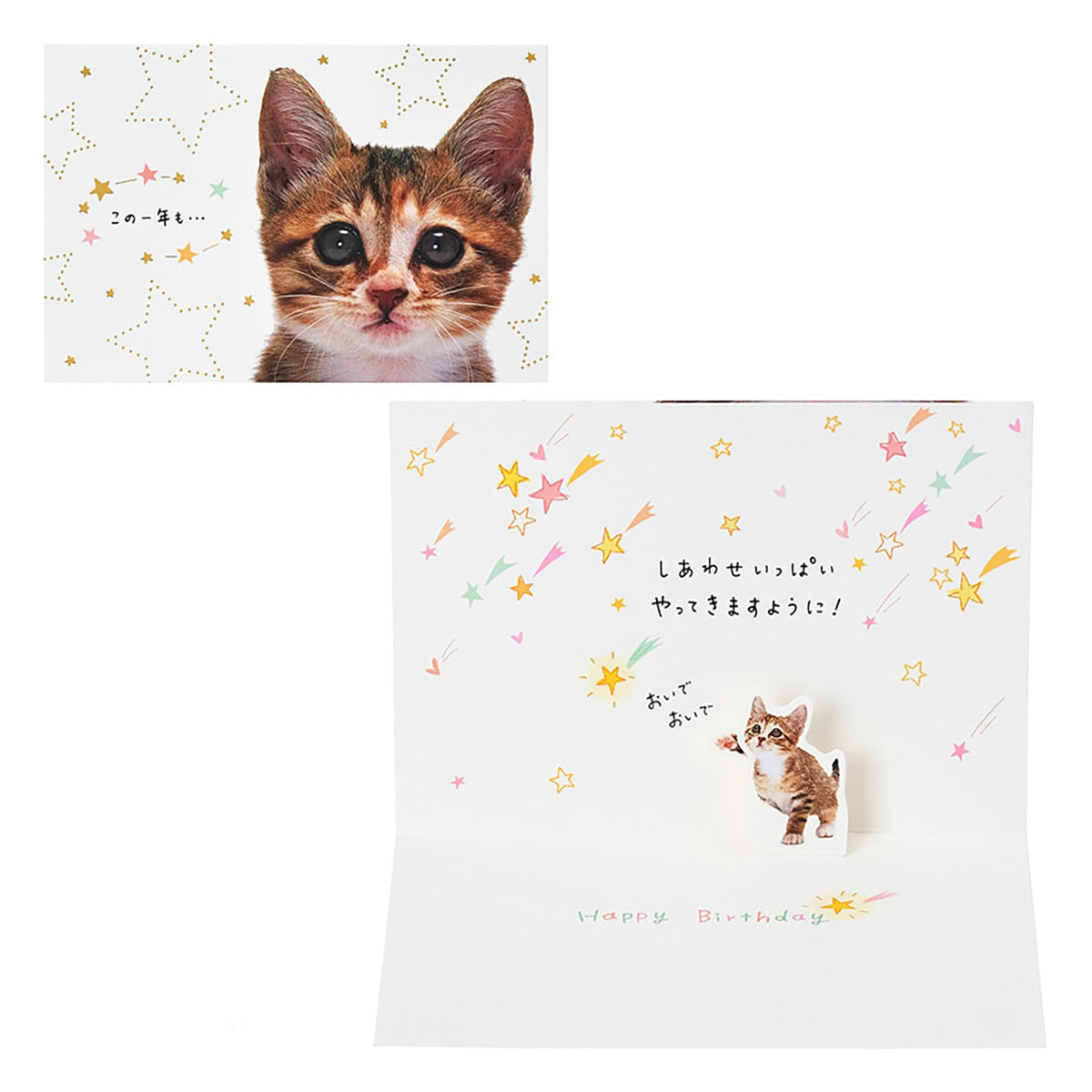 Sanrio Birthday Celebration Photo Cat Face Greeting Card BD322-6 878928