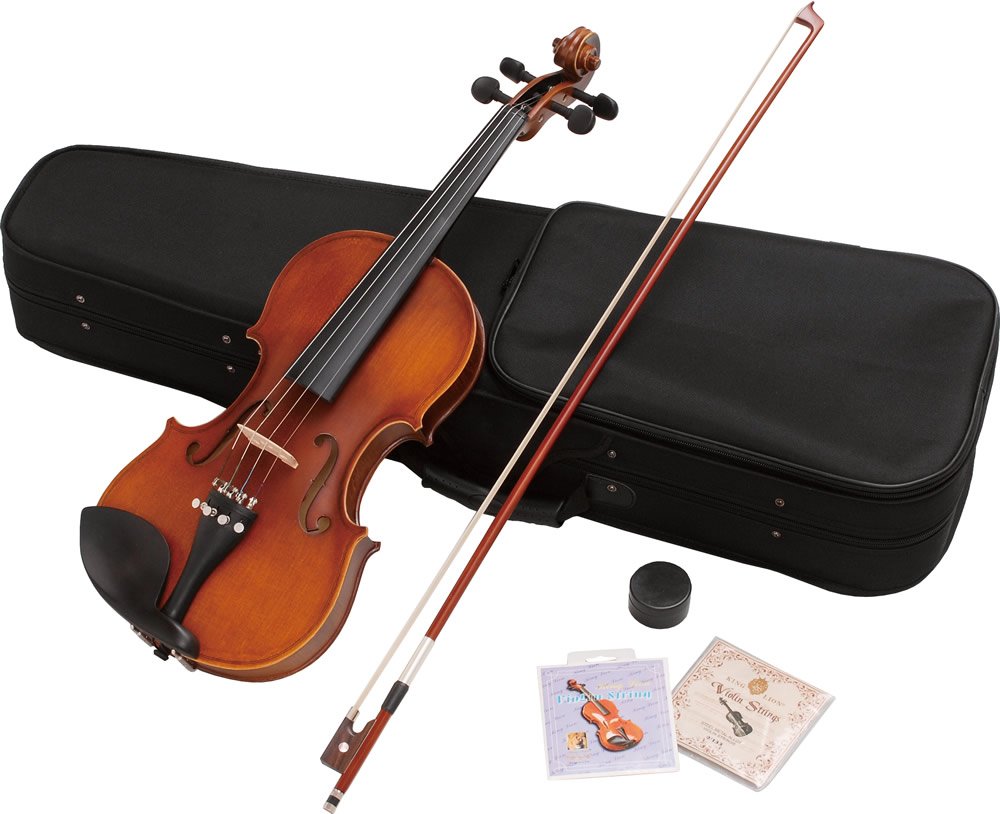 Hallstatt Violin V-12 4/4 Size Violin (Regular Size)