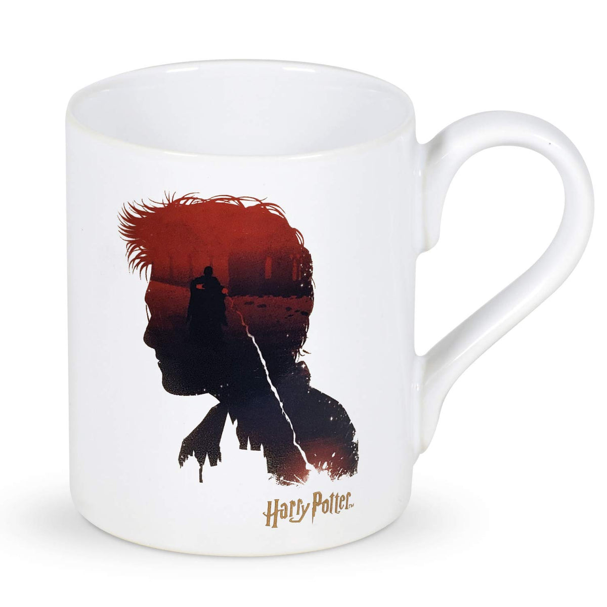 Enesco Wizarding World of Harry Potter Good vs. Evil Coffee Mug, 16 Ounce, Multicolor