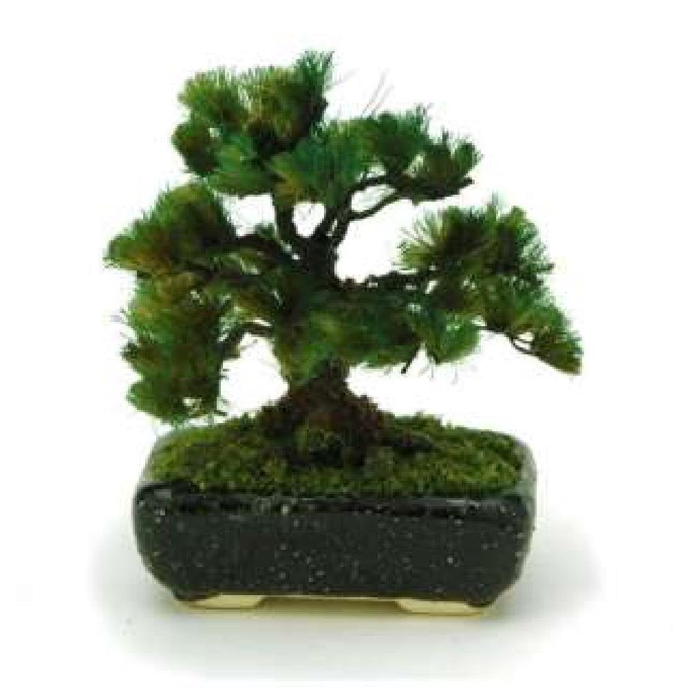 (The Bonsai) Bont02 Sumihachimatsu Platz 1/12 Scale Painted The Bonsai (Platz) Co., Ltd. (Black)