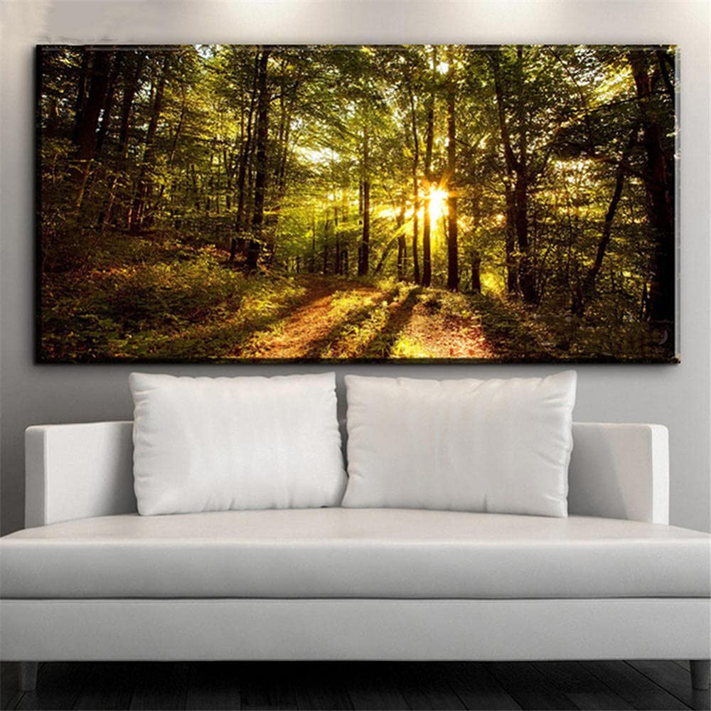 Diamond Art Kits,Diamond Painting Woods Sunshine,5d Diamond Painting Kits for Adults & Child,Cross Stitch Embroidery Diamond Art Kits,on Numbers Kit Full Diamond Painting-50x150cm/20x59inch