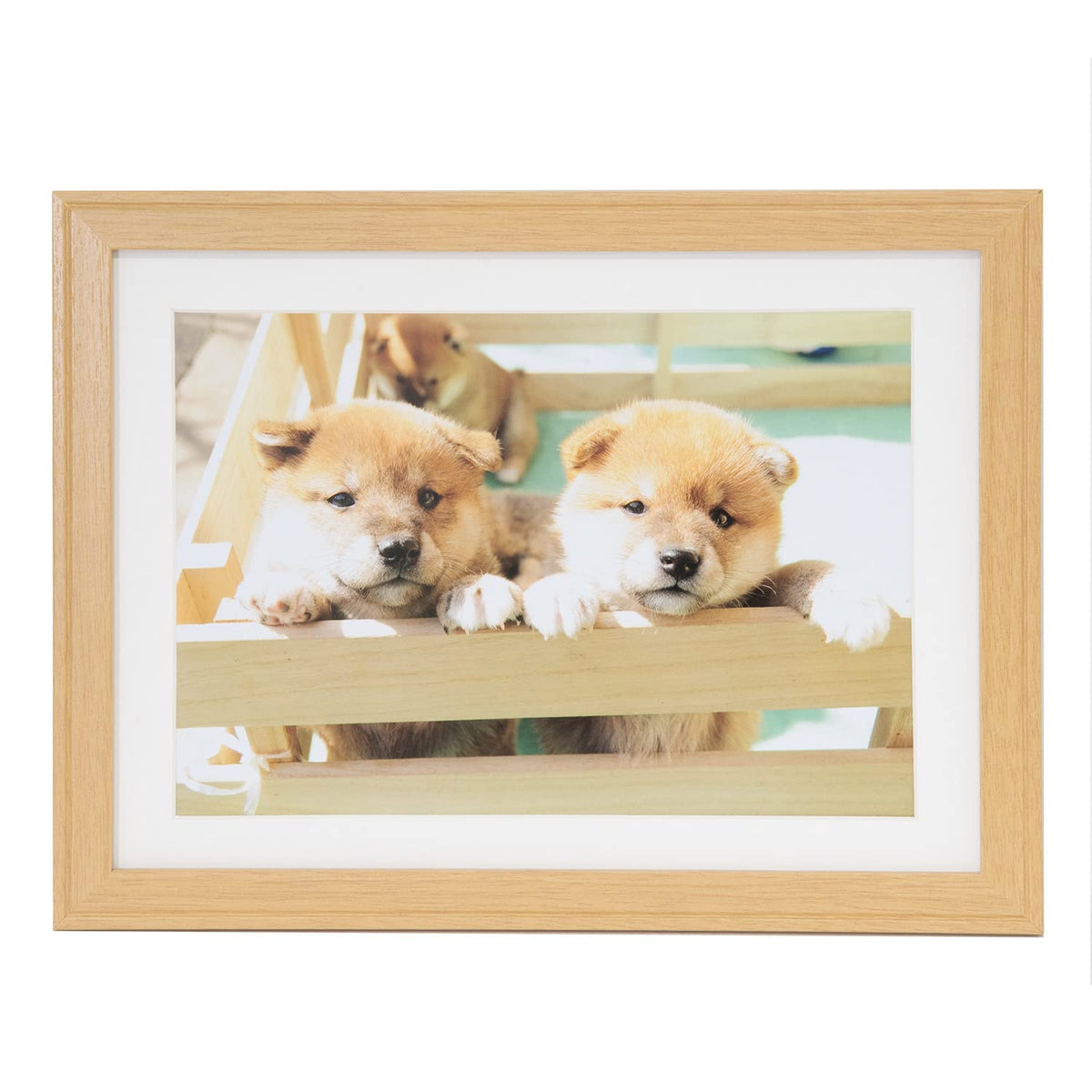 FUJICOLOR 407635 YM-9 Wooden Picture Frame, A4, Wood