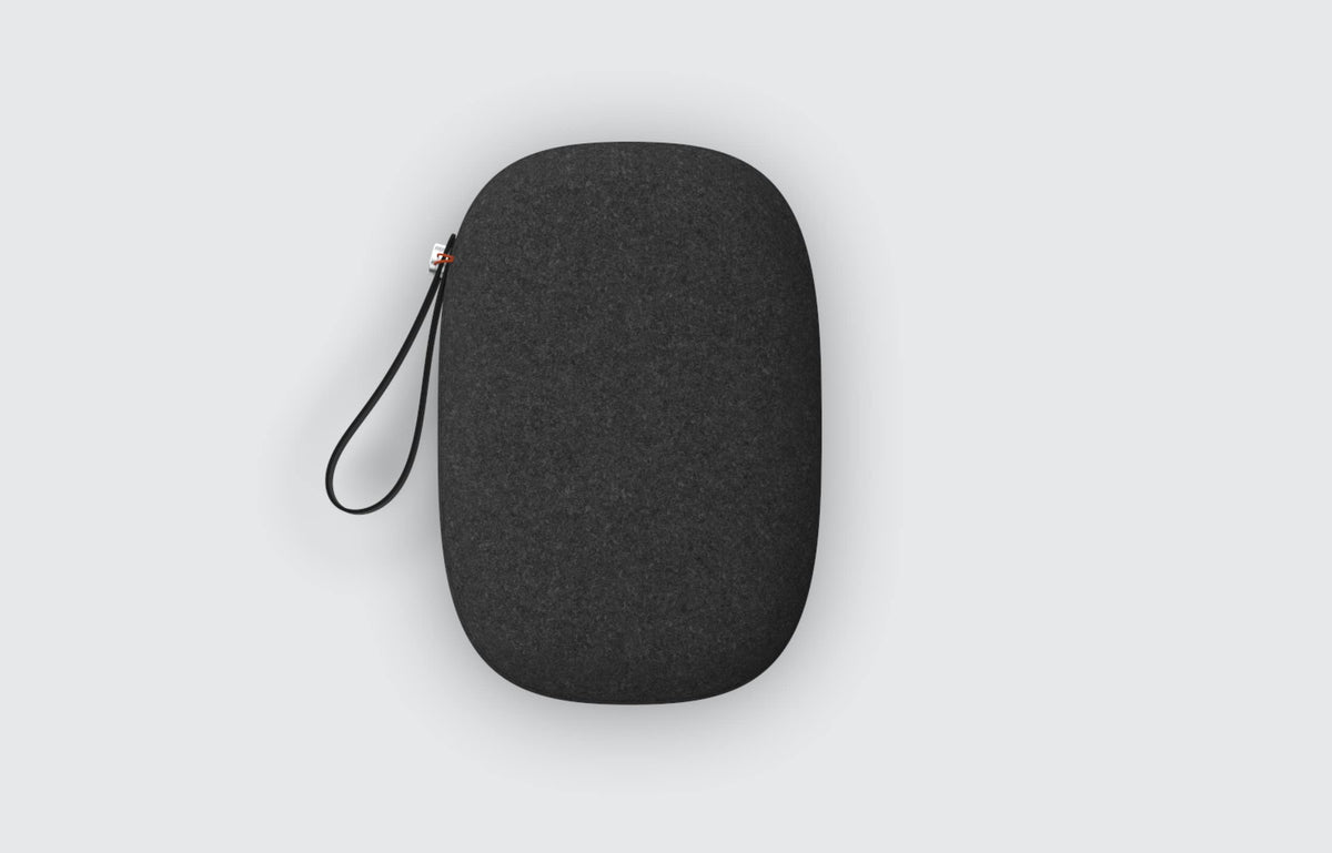 PICO 4 Carrying Case
