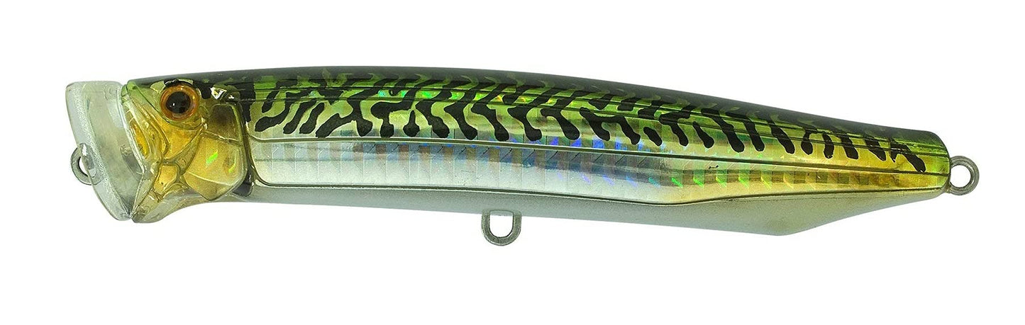 TackleHouse CFP120 Popper Contact Feed Popper 4.7 inches (120 mm), 1.2 oz (30 g) Saba #10