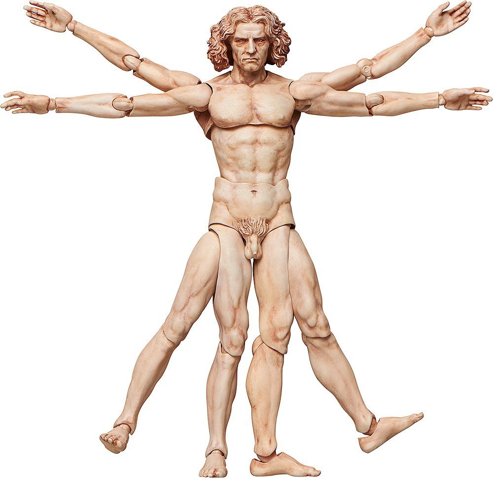 Freeing Table Museum The Vitruvian Man Figma Action Figure