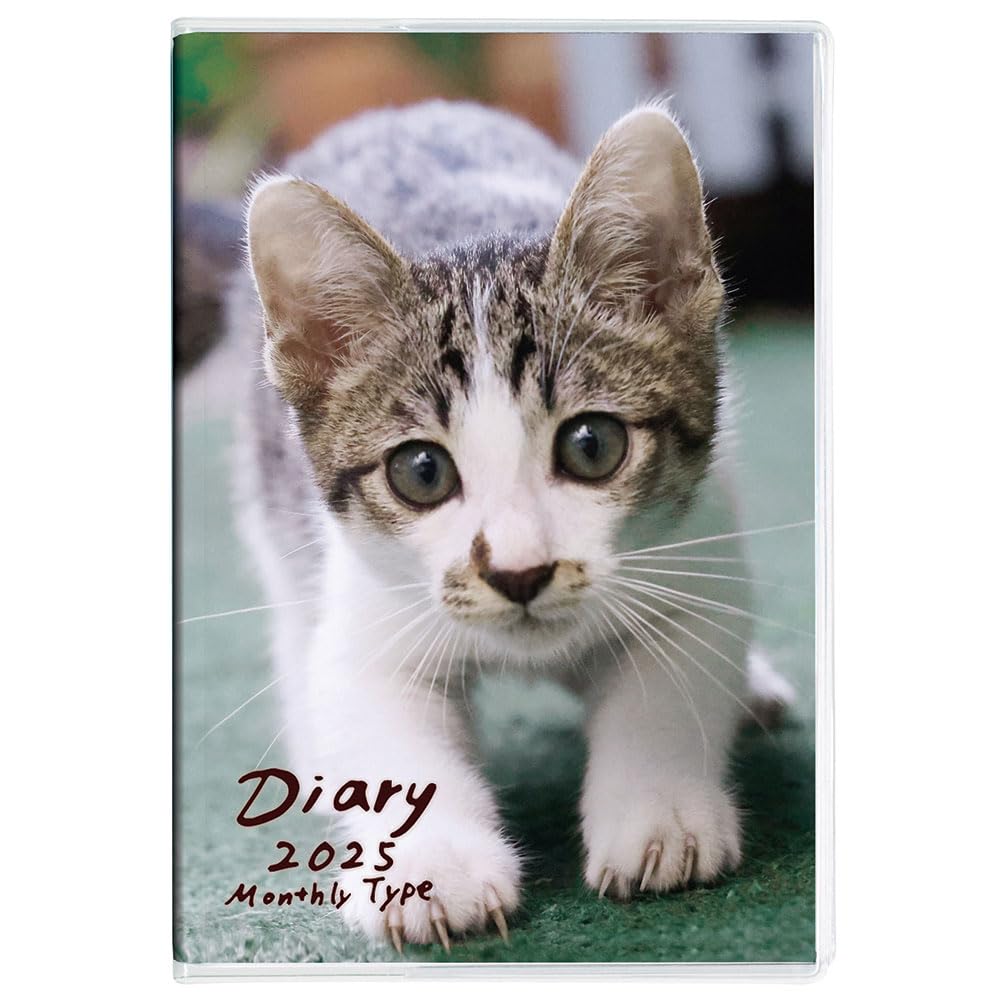 ナカバヤシ(Nakabayashi) Notebook Diary 2025 / A6 / Cat 1 NS-A601-25CA1