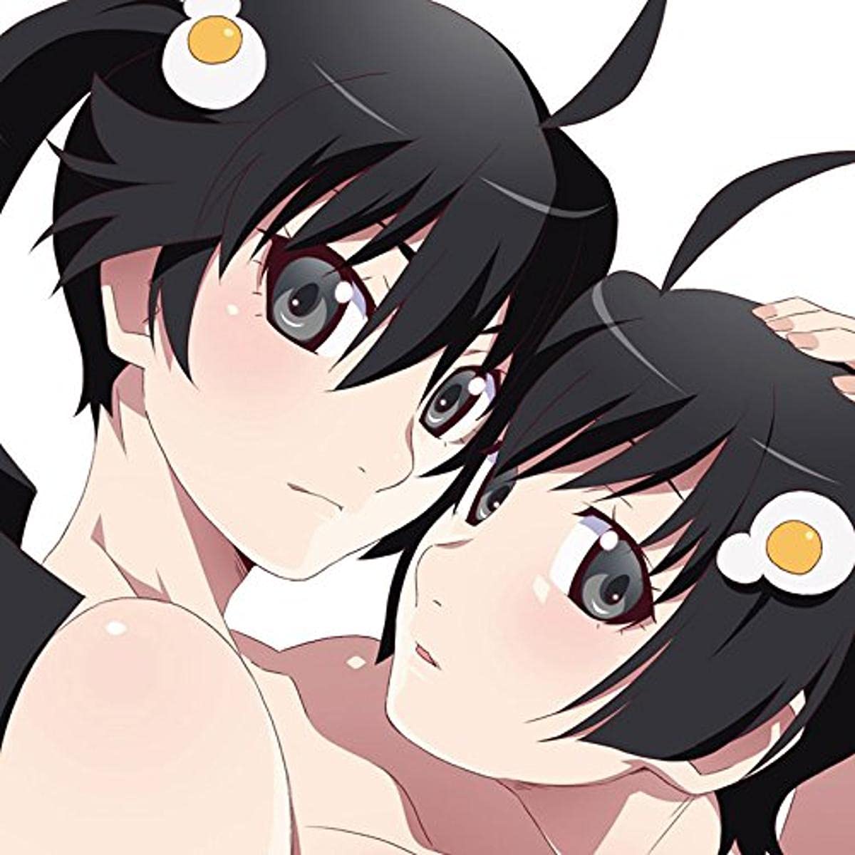 Nisemonogatari & Nekomonogatarikuro Original Soundtracks (Original Soundtrack)