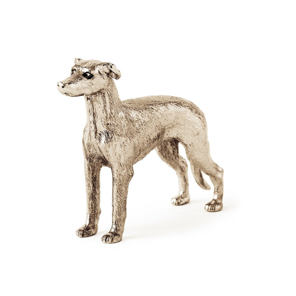 Greyhound