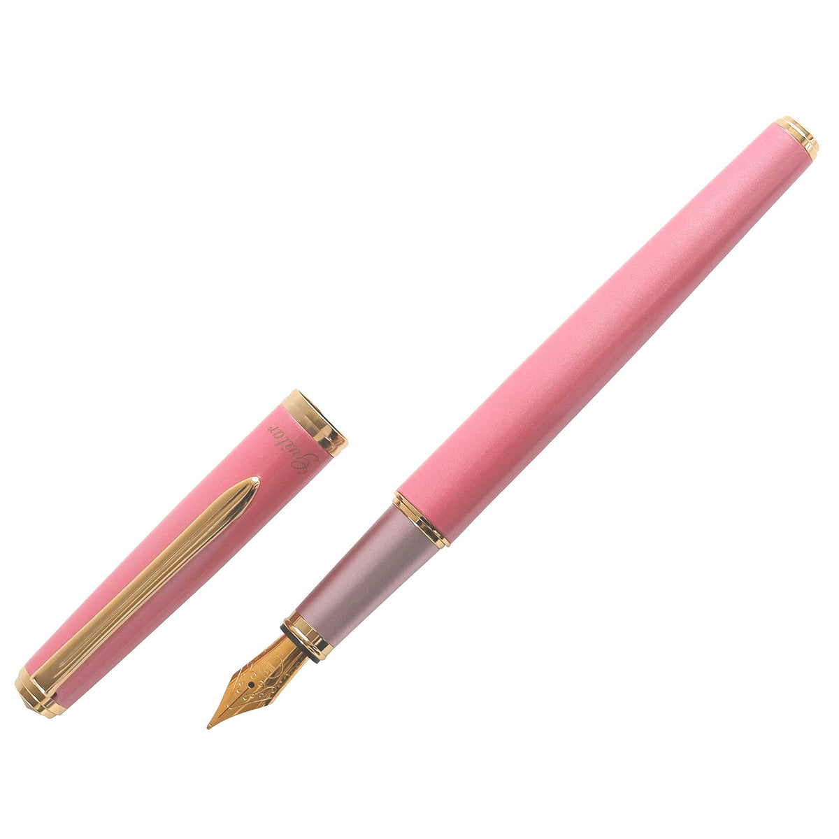 Teranishi Chemical Industry GFPNB-RP-F Guitar Fountain Pen Brillante Rose Pink F