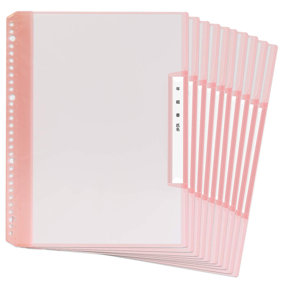 Plus RE-201CF New Year's Set Full Name Refeel Clear File, Vertical Type, 6 Pockets, A4, Pink, 84-823 x 10 Notebooks