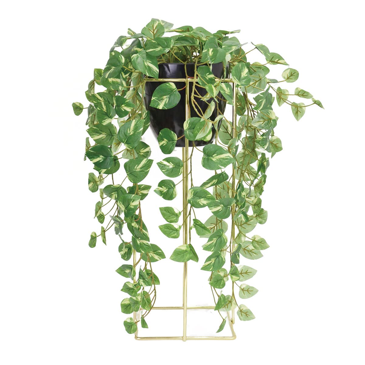 bcl fake green stand pot 60cm pothos