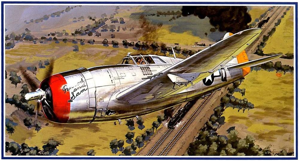 Micro Ace 1/48 War Machine Series No. 16 US Army Republic P-47D Thunderbolt Plastic Model