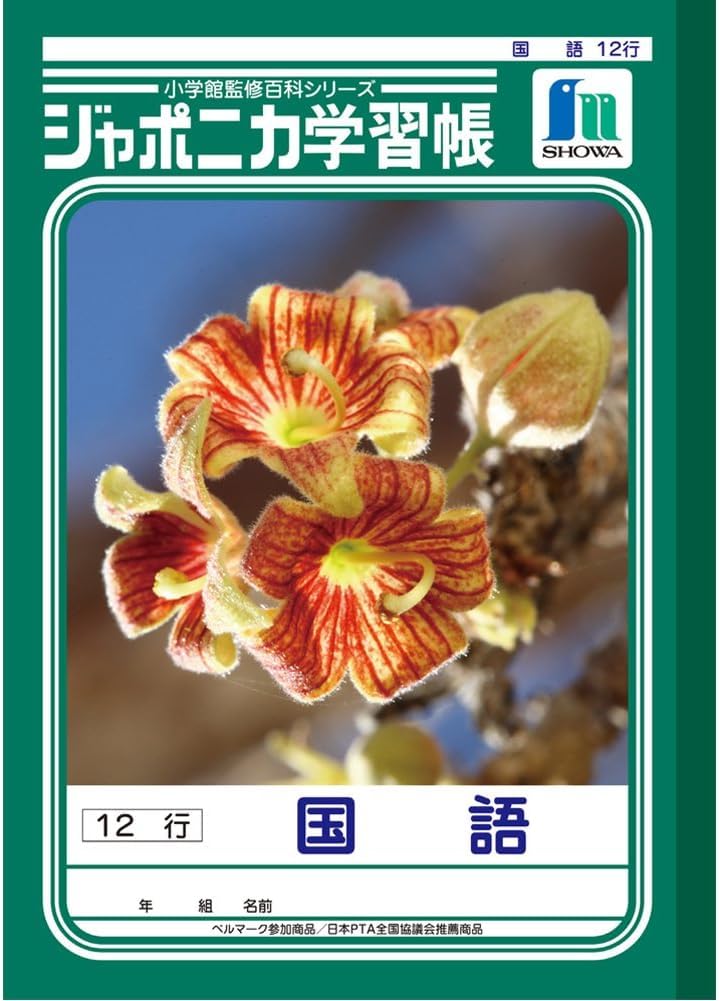 Showa Notebook, JL-11-1 * 5 Study Book, Japonica Japanese Language, 12 Lines, B5, Pack of 5