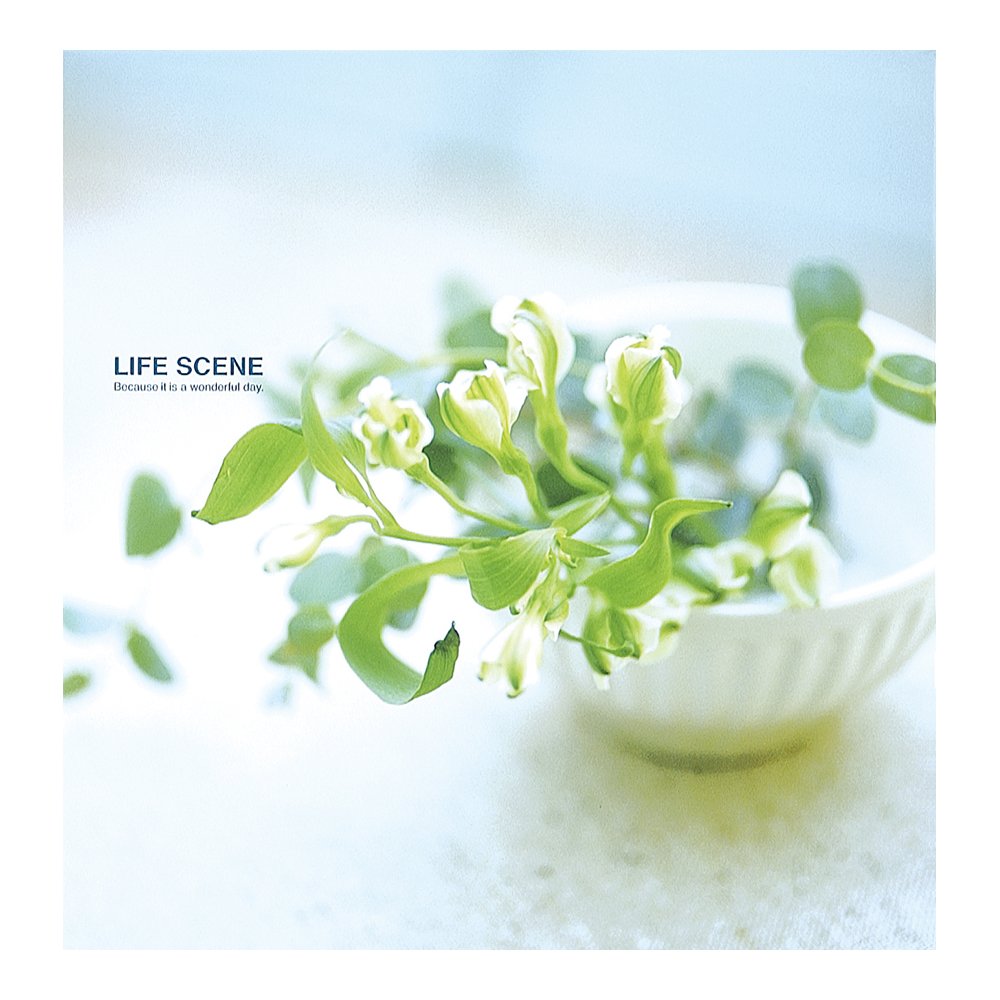 Nakabayashi Fueruarubamu Digio life scene Blue LPF-1001-B (japan import)