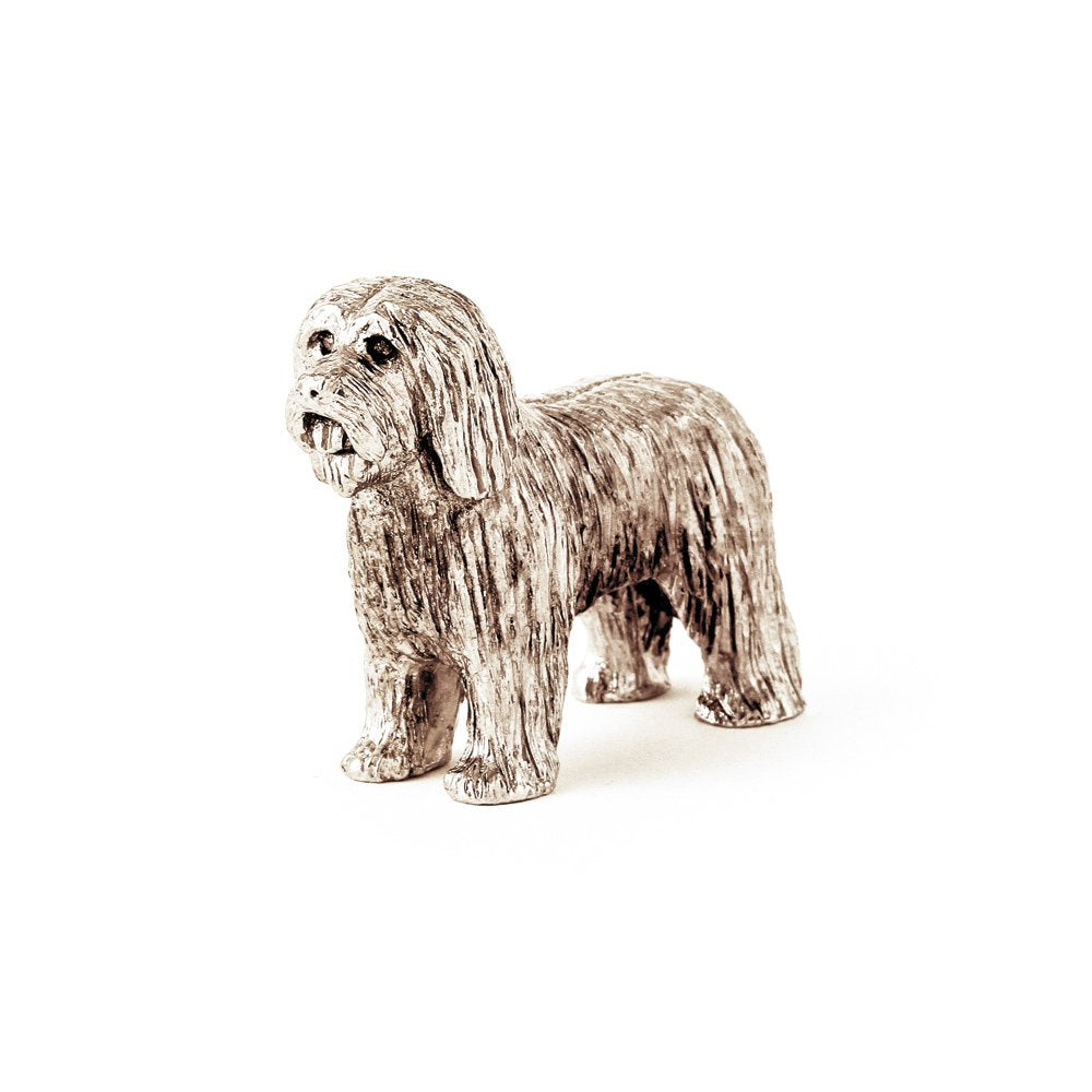 Bearded Collie