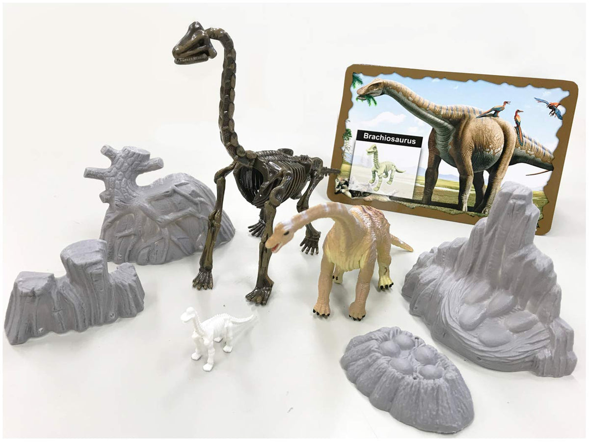 Dren Sha(Japan) Museum AR Brachiosaurus (pre-painted PVC figure set of prefabricated skeleton and mini-skeleton scene)