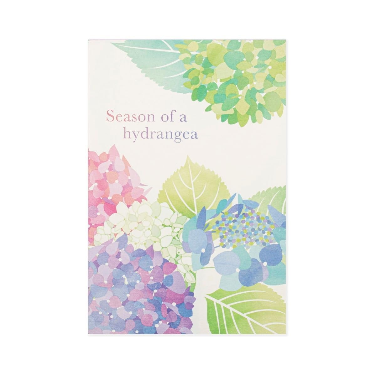 フロンティア Frontier Hydrangea HGS-482 Postcard Notes