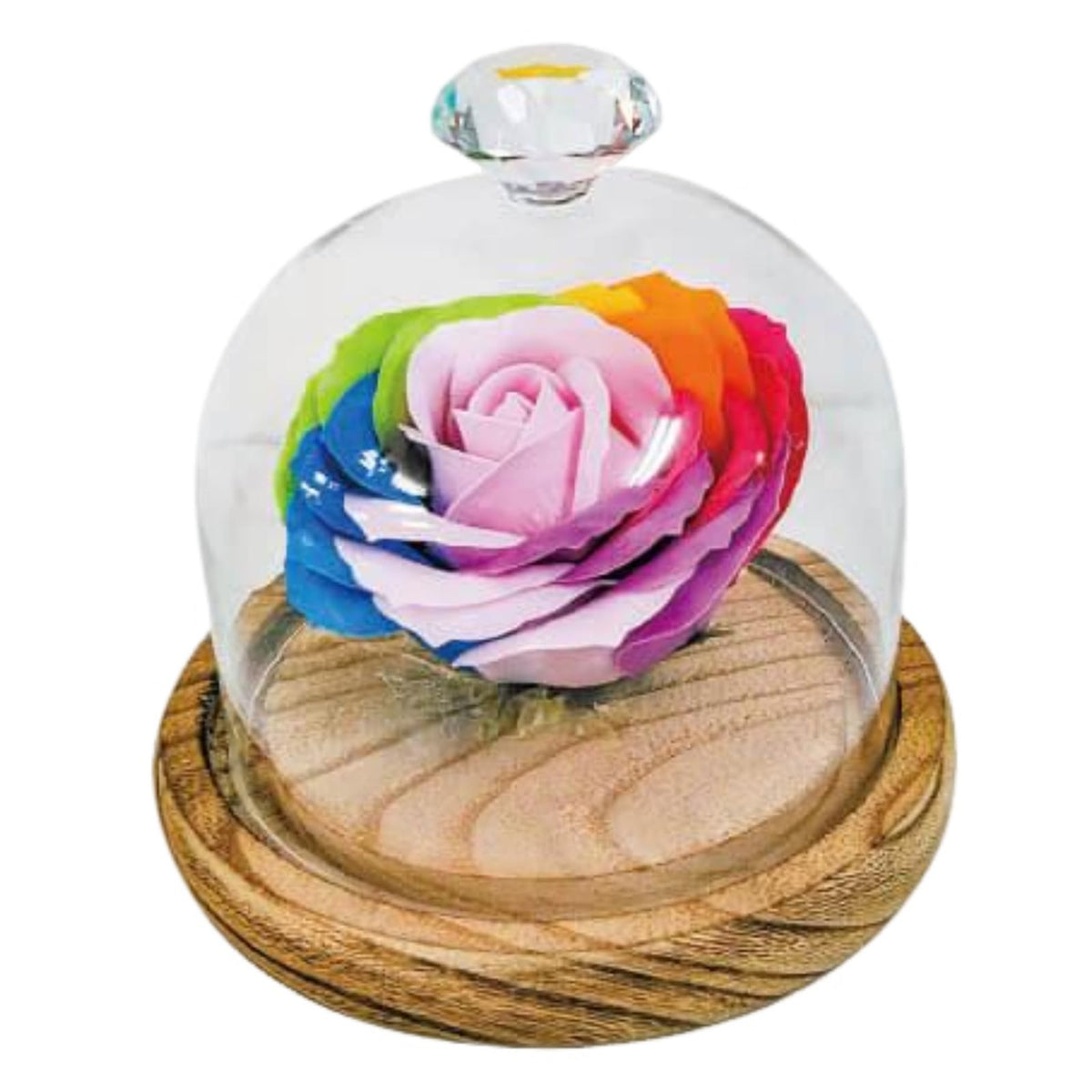 Q-FLA 783555 Soap Flower, Rainbow, Dome, Pastel Rainbow, Present, Celebration, Box Gift