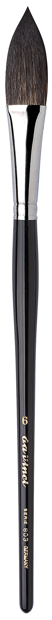 da Vinci Watercolor Series 803 Paint Brush, Cats Tongue Wash Russian Blue Squirrel Hair with Short Black Handle, Size 6 (803-06)