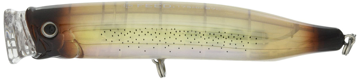 Tackle House Feed Popper 175 CFP175 No.20 Squid