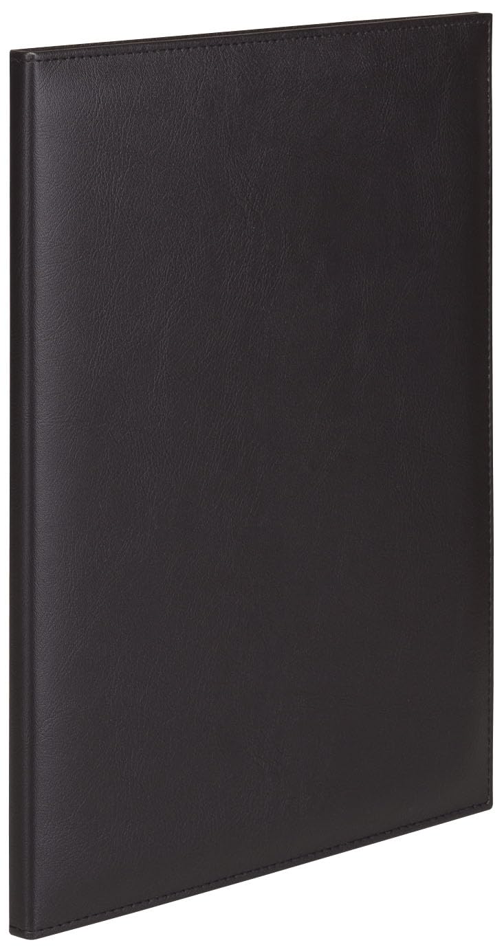 Teethi SLF-10-01 Synthetic Leather File, A4, 10P, Black