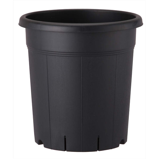 appuruuxea- Orchard Vase
