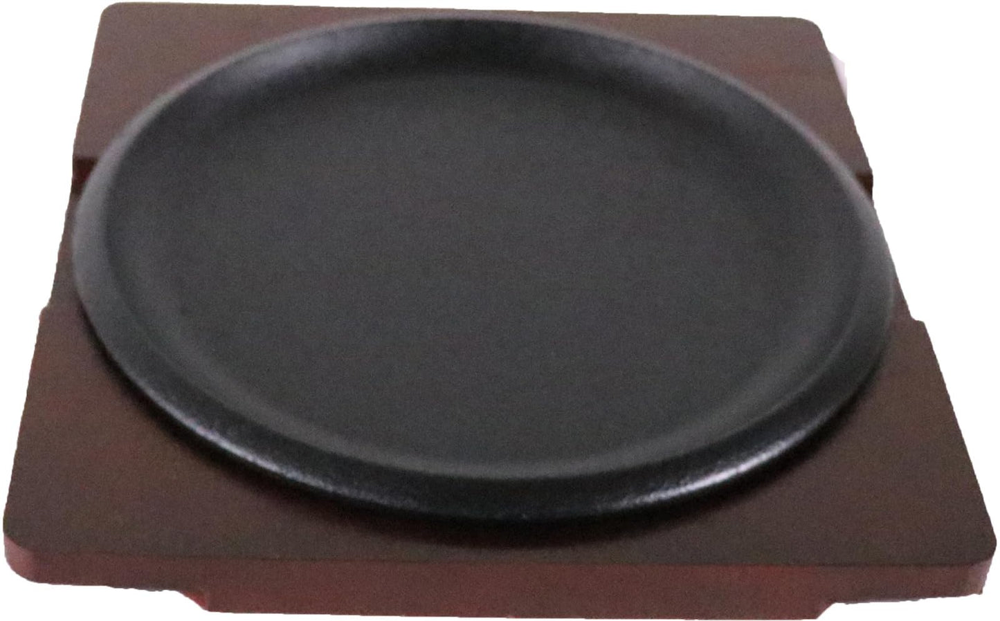 遠藤商事(Endo Shoji) Chubu Tokiwa PTK19 Steak Plate, Shallow Shape, Made in Japan
