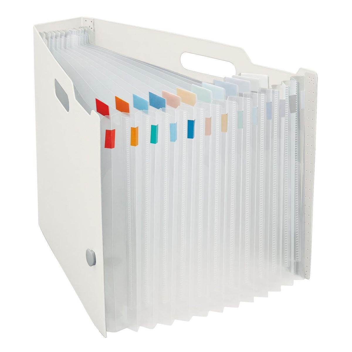 Lihit Lab F7691-0 Document Box, A4, Horizontal, White