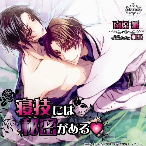 BINETSU SERIES NEWAZA NIWA HIMITSU GA ARU