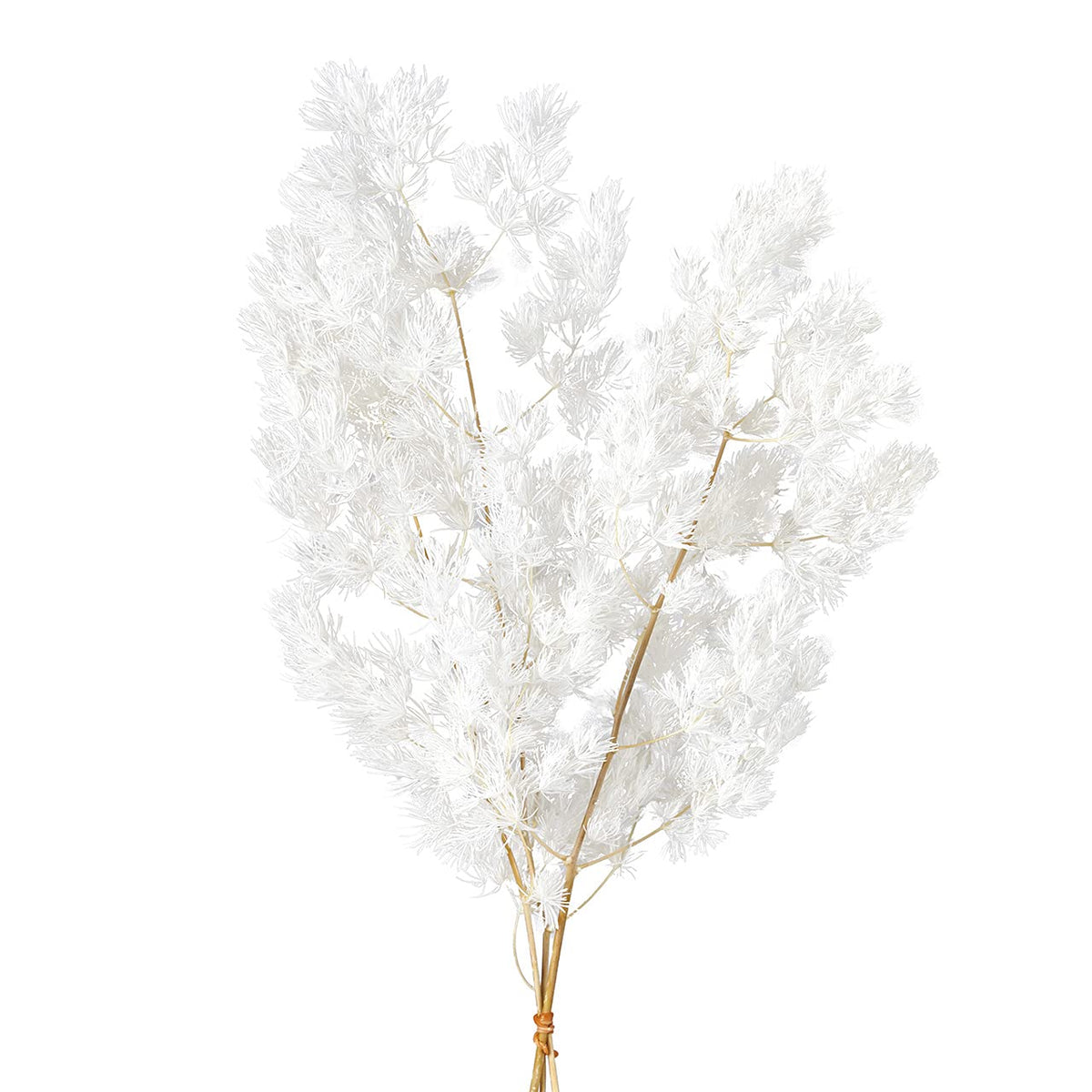 オオチノウエン(Ohchinouen) Earth Farm DO000160-011 Preserved Flowers, Milio Cladas, Off-White, Approx. L 11.8-15.7 inches (30-40 cm), 0.5 oz (15 g)