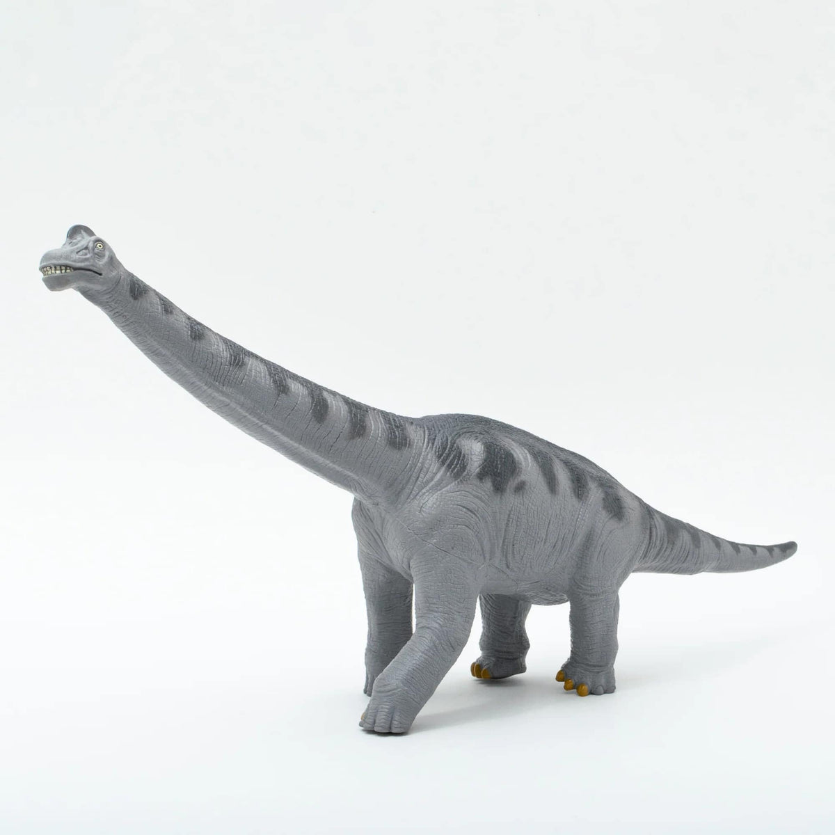 FD-354 Brachiosaurus plastic model Premium Edition