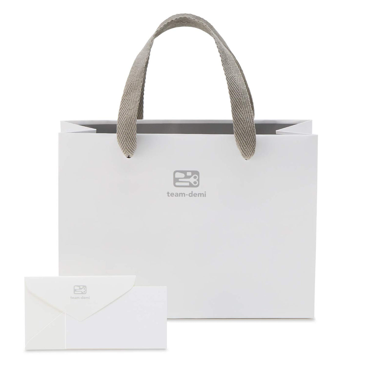 Plus TD-001GS 31-400 Stationery Kit for Gifts, Paper Bag + Message Card