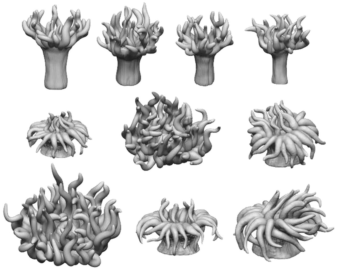 3D printed set - Sea Anemones