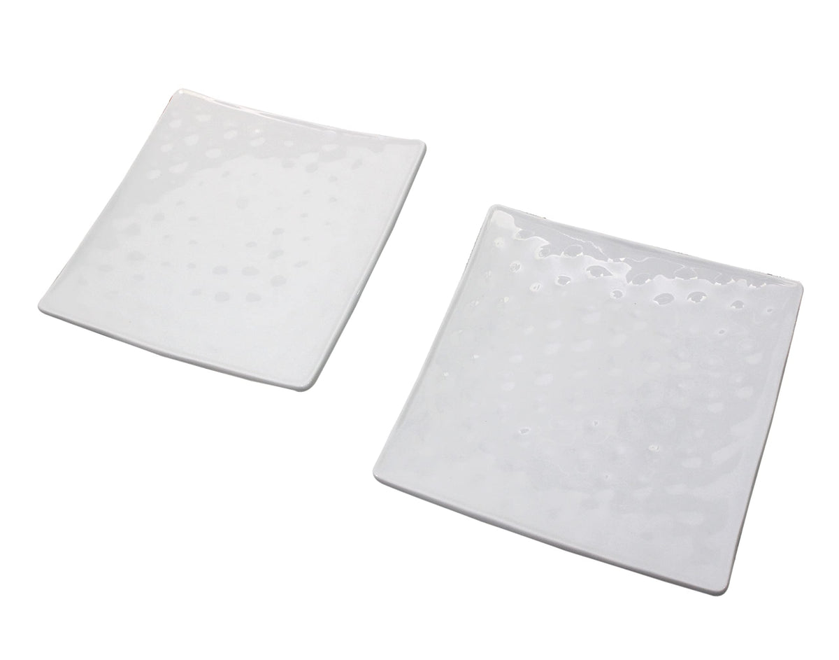 Hobby Cooking Yakiniku Specialty Serving Plate (Set of 2)