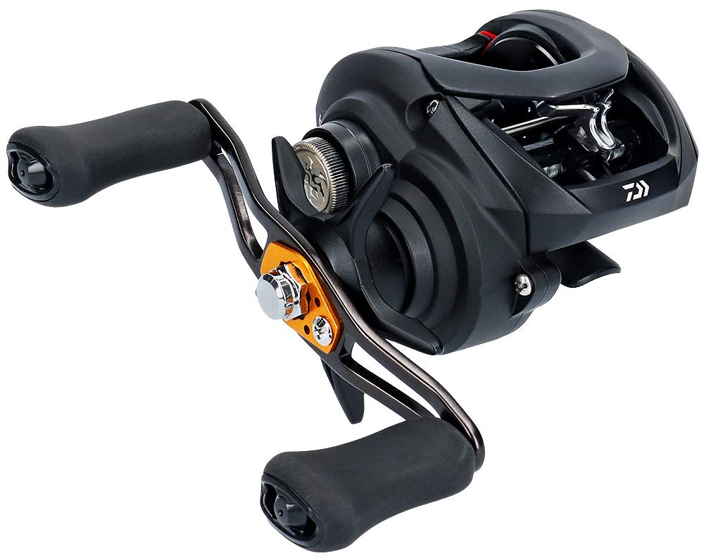 Daiwa Bait Reel 19 Tattooa TW 100H (2019 Model)