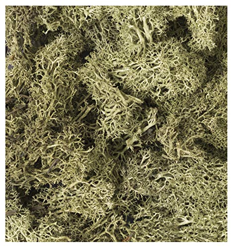 KATO 24-554 Diorama Products, Natural Material Plants, Yellow Green