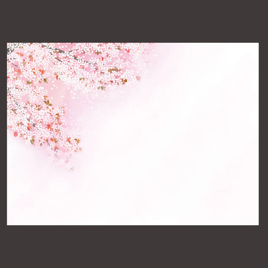 Shaku-3 Non-Fluorescent Paper Seasonal Mat Hanamiyabi Cherry Blossom 100 Sheets