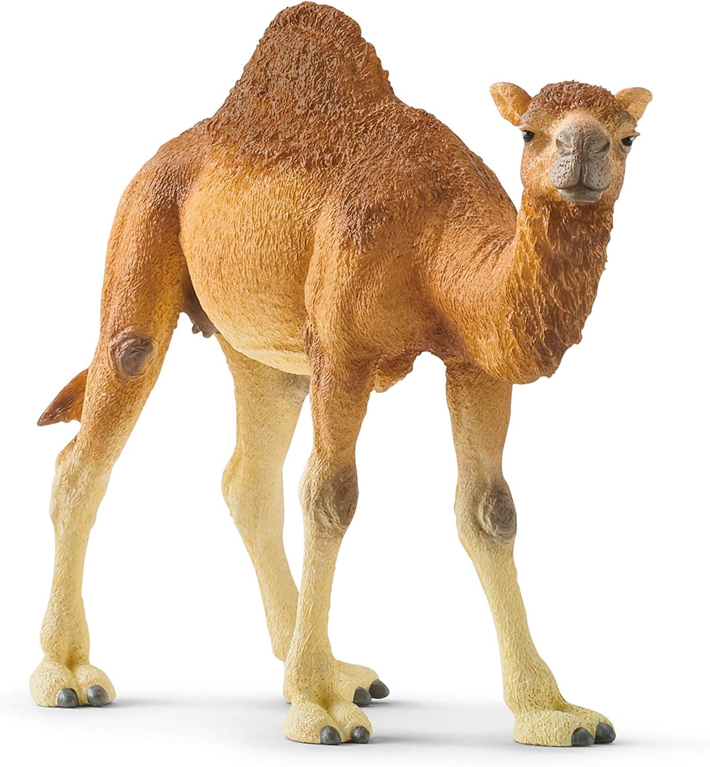 Schleich Wild Life - Dromedary - Camel Toy Figurine - Kids Ages 3+ | 14832