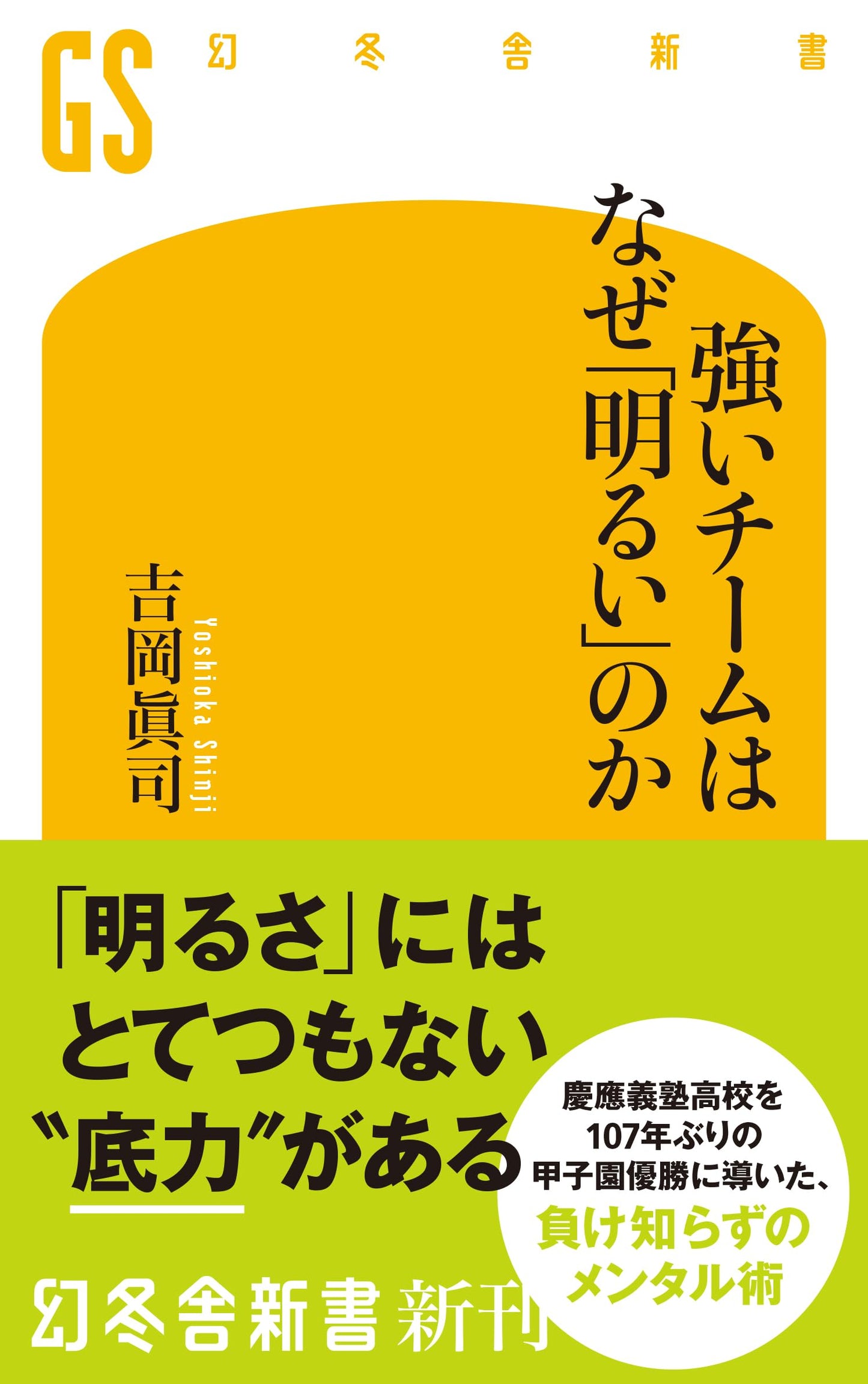 Why Strong Teams Are 'Bright' (Gentosha Shinsho 739)