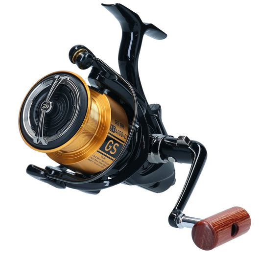 DAIWA 20 GS BR LT 3000