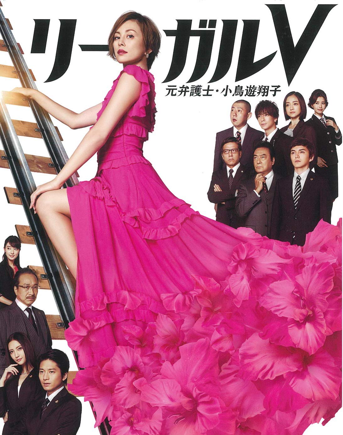 JAPANESE TV DRAMA Legal V - Former Lawyer Yuko Kotori Blu-ray BOX (No Benefits) V-former (JAPANESE AUDIO , NO ENGLISH SUB.)