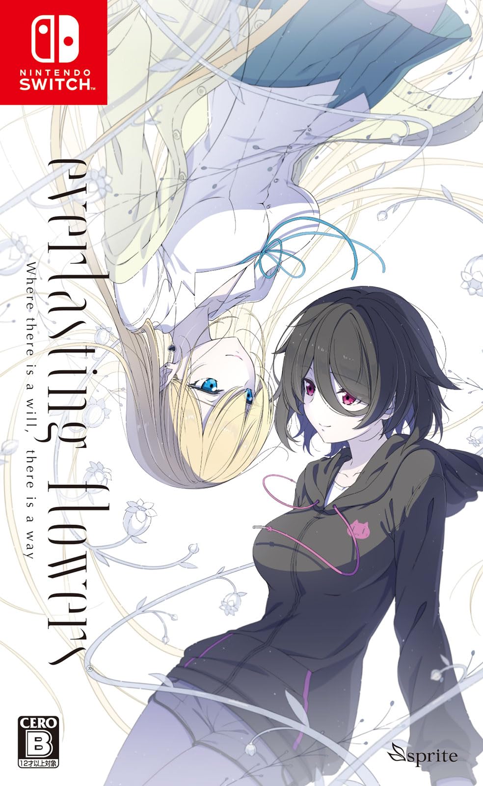everlasting flowers -Switch