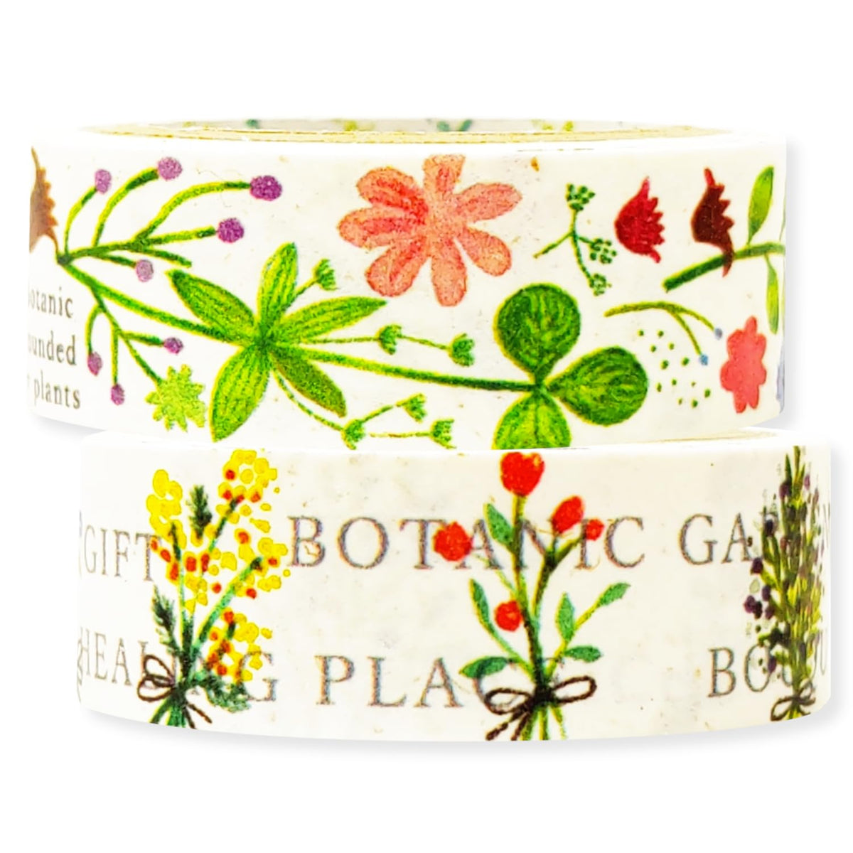 シール堂 Shealdo bp-30014 Shinzi Katoh Banana Paper Tape, Botanical Flower, 0.6 inch (15 mm), Width 9.8 ft (3 m), Set of 2 Rolls
