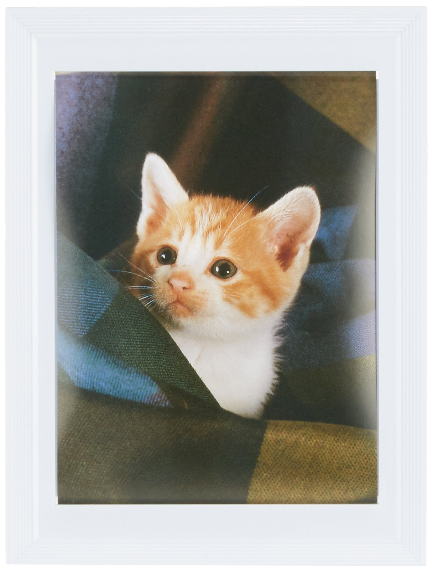 FUJICOLOR 500022 Photo Frame, L Color Frame, L White